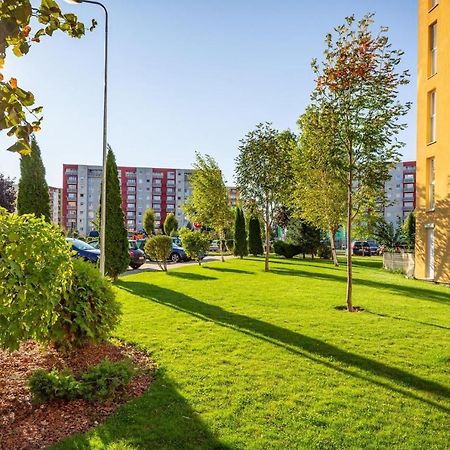 Apartment Richy Brasov Bagian luar foto