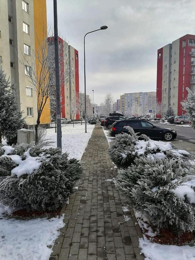 Apartment Richy Brasov Bagian luar foto